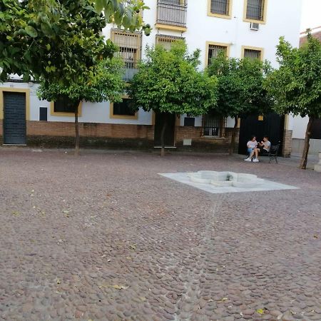 Calle Abejar,Plaza 科爾多瓦 外观 照片
