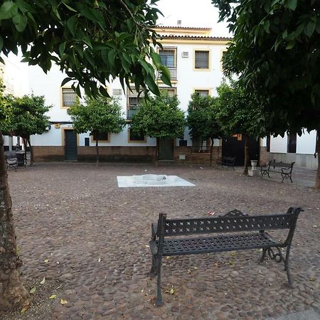 Calle Abejar,Plaza 科爾多瓦 外观 照片