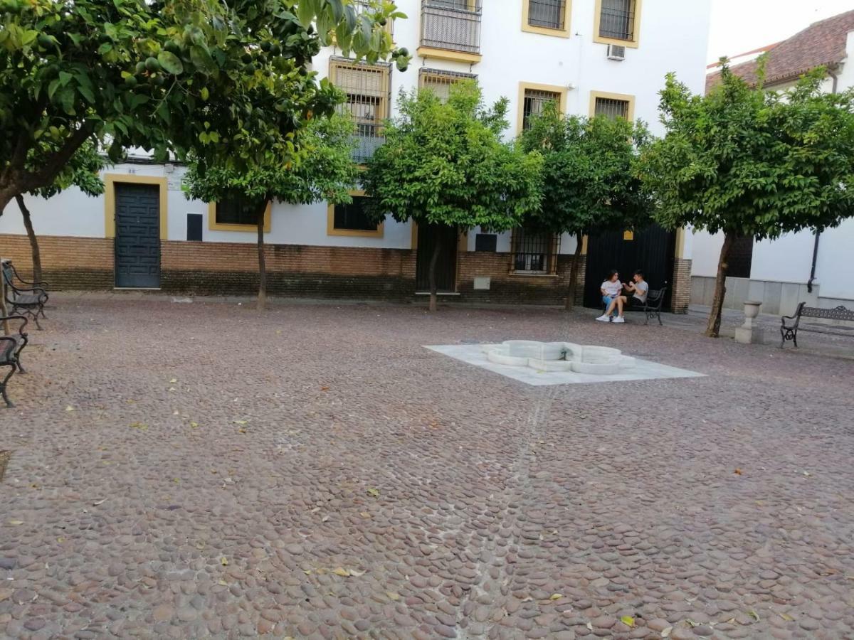 Calle Abejar,Plaza 科爾多瓦 外观 照片