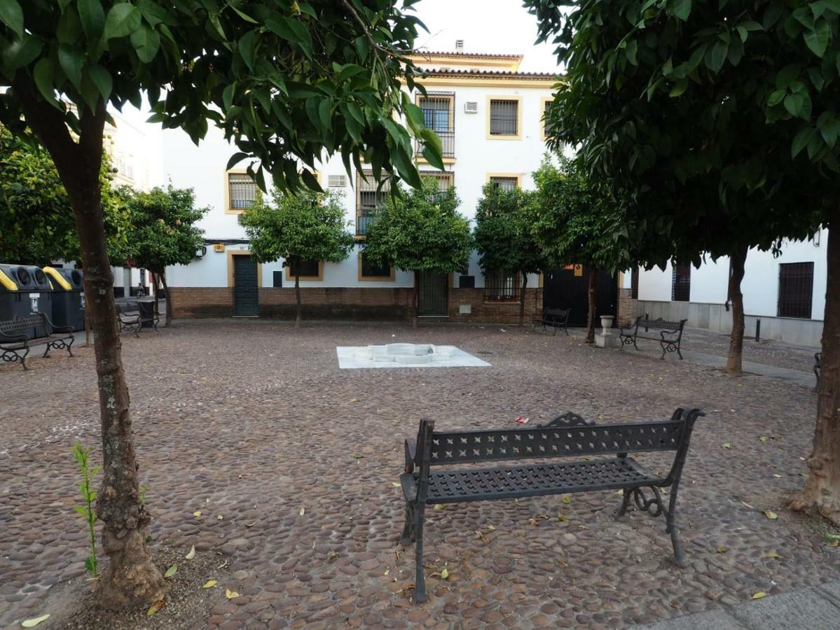 Calle Abejar,Plaza 科爾多瓦 外观 照片